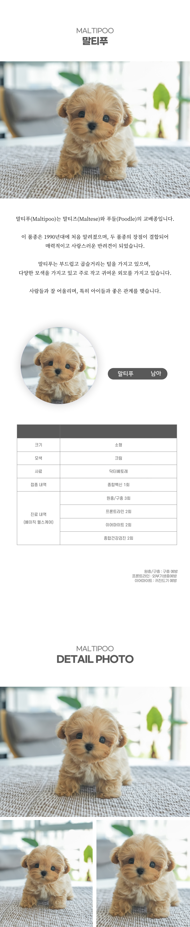 말티푸_상세이미지_2