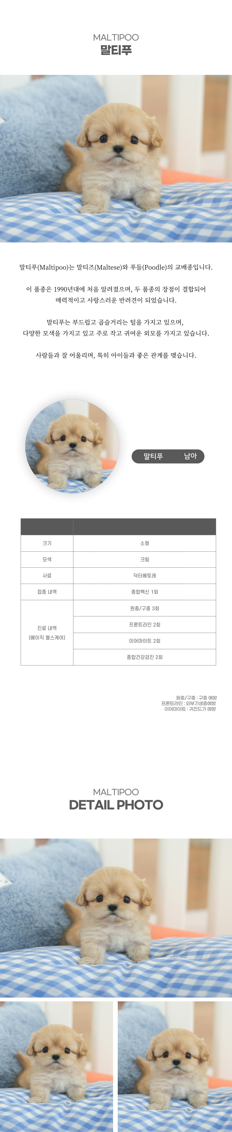 말티푸_상세이미지_2