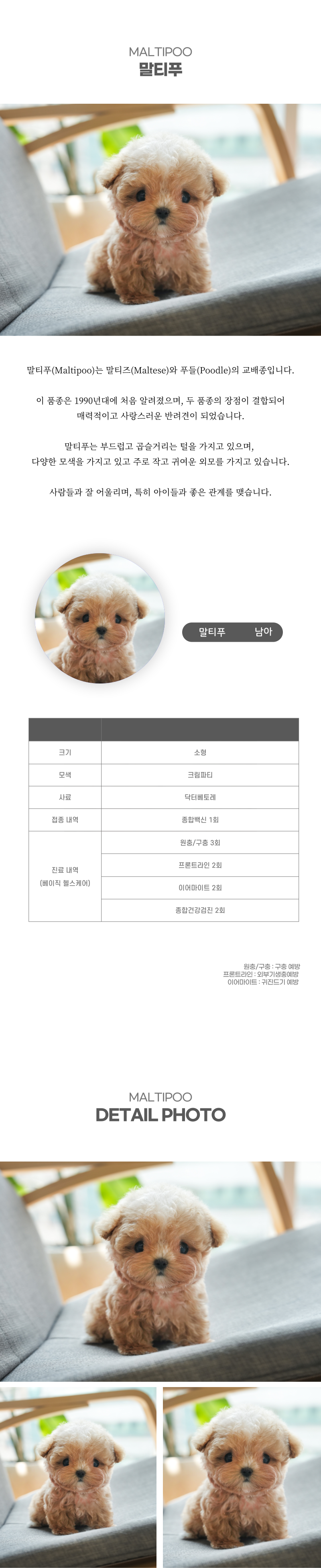 말티푸_상세이미지_2