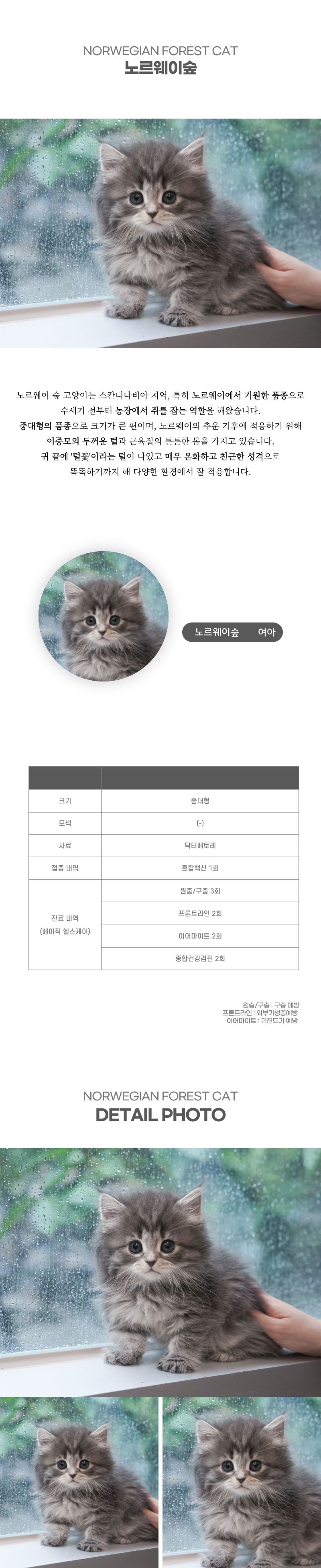 노르웨이숲_상세이미지_2