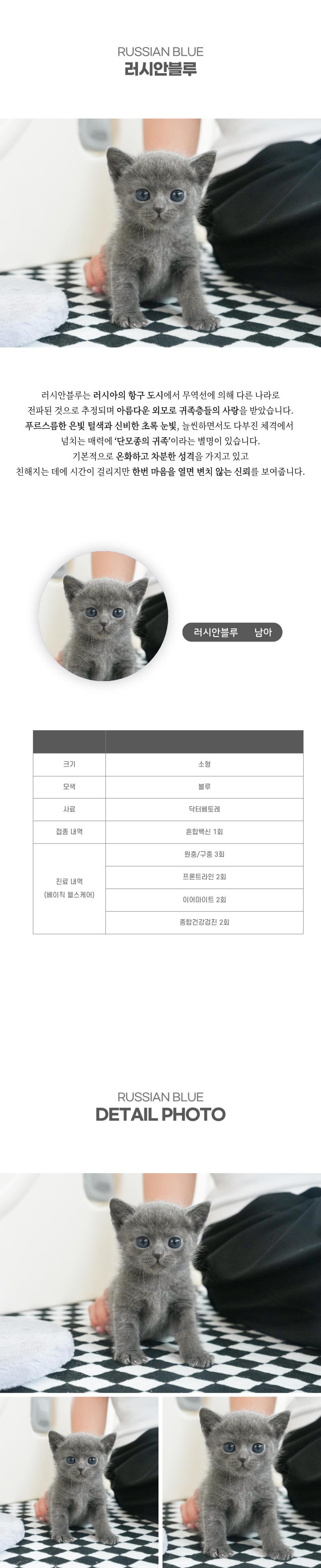 러시안블루_상세이미지_2