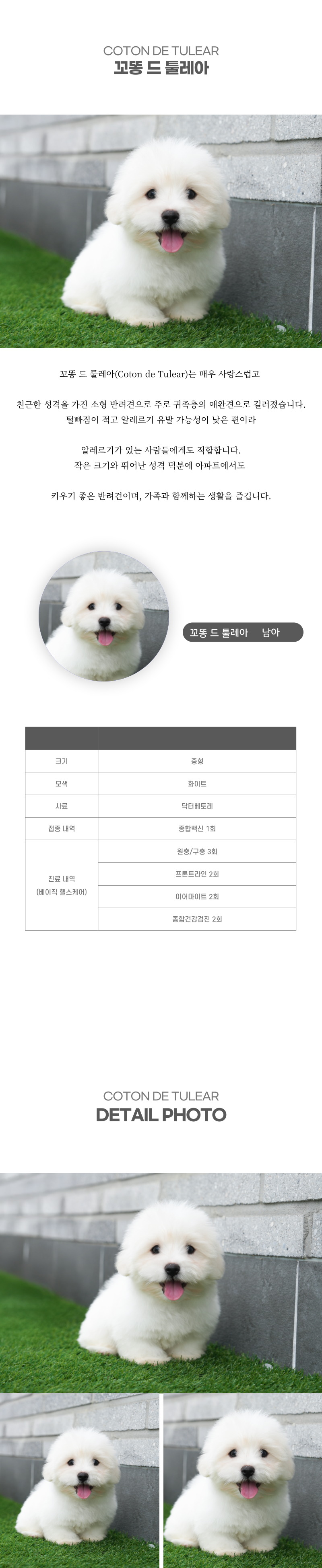 꼬똥_상세이미지_2