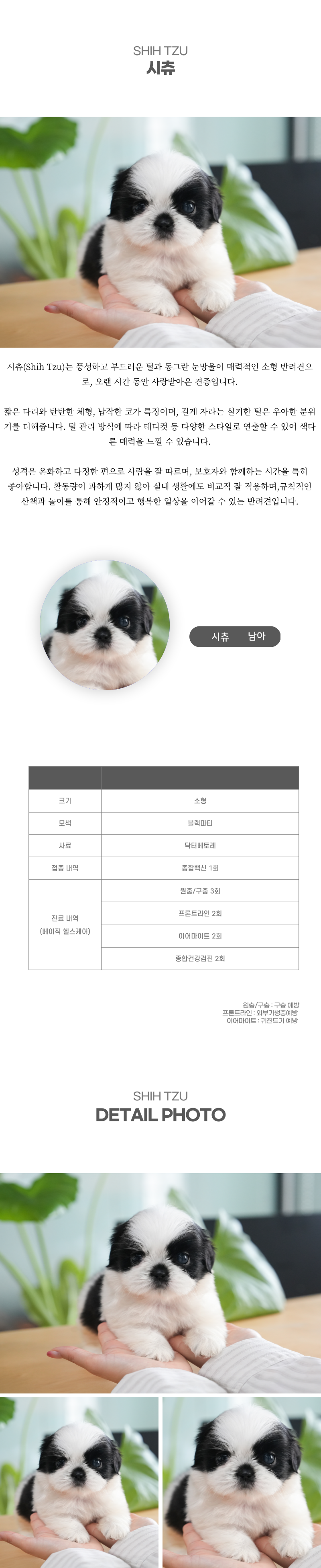 시츄_상세이미지_2