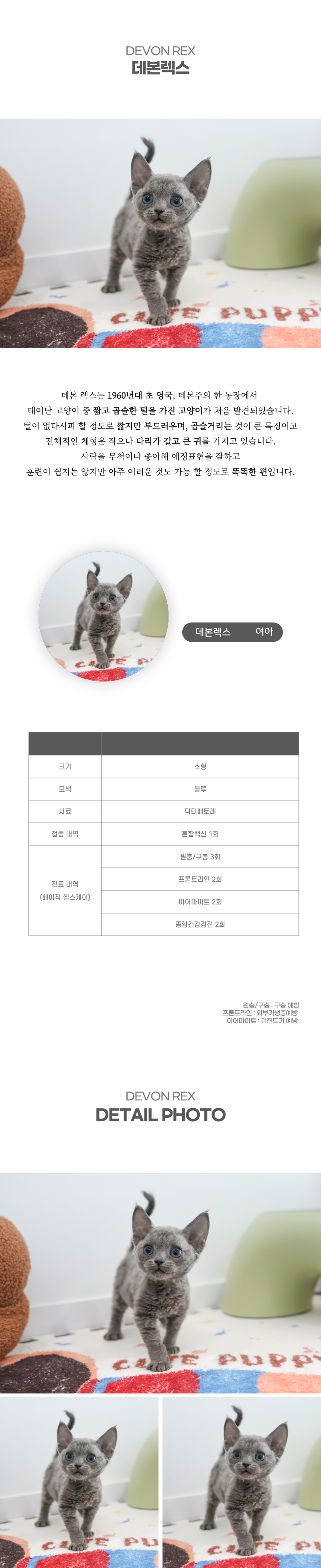 데본렉스_상세이미지_2