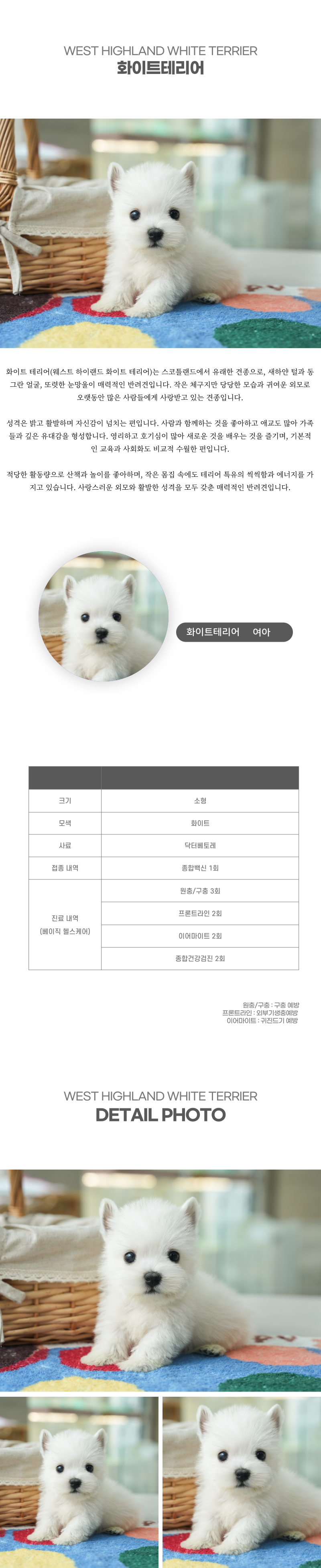 화이트테리어_상세이미지_2
