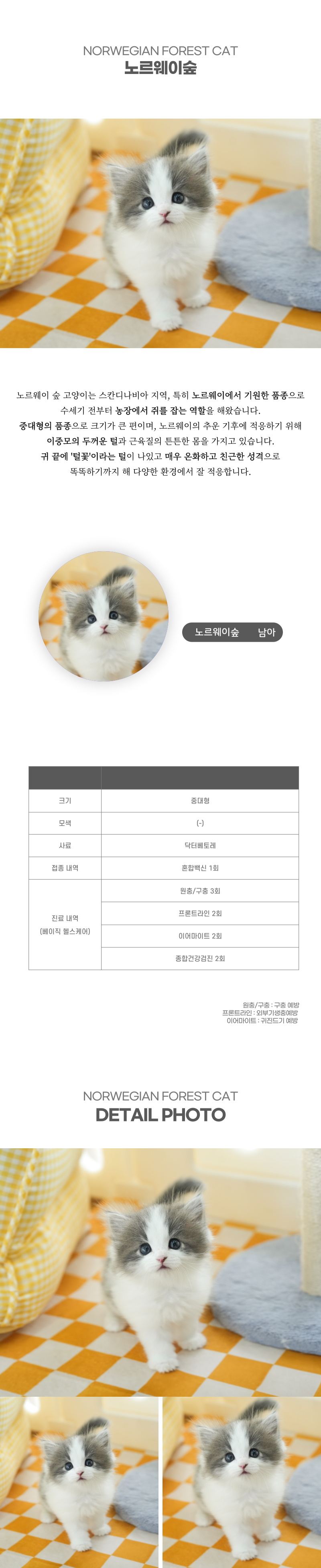 노르웨이숲_상세이미지_2