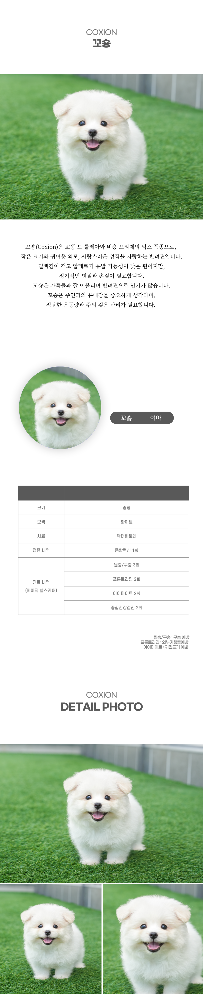 꼬숑_상세이미지_2