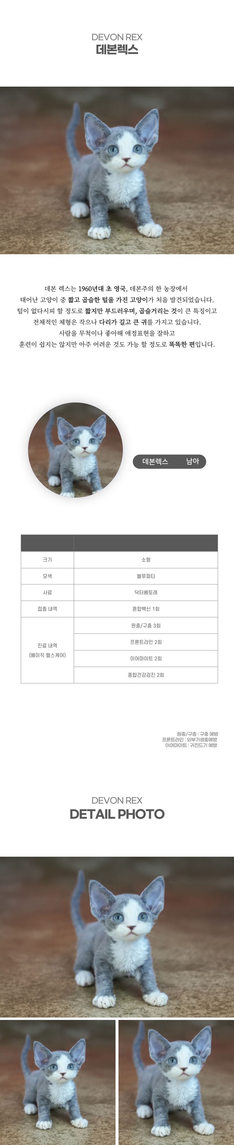 데본렉스_상세이미지_2