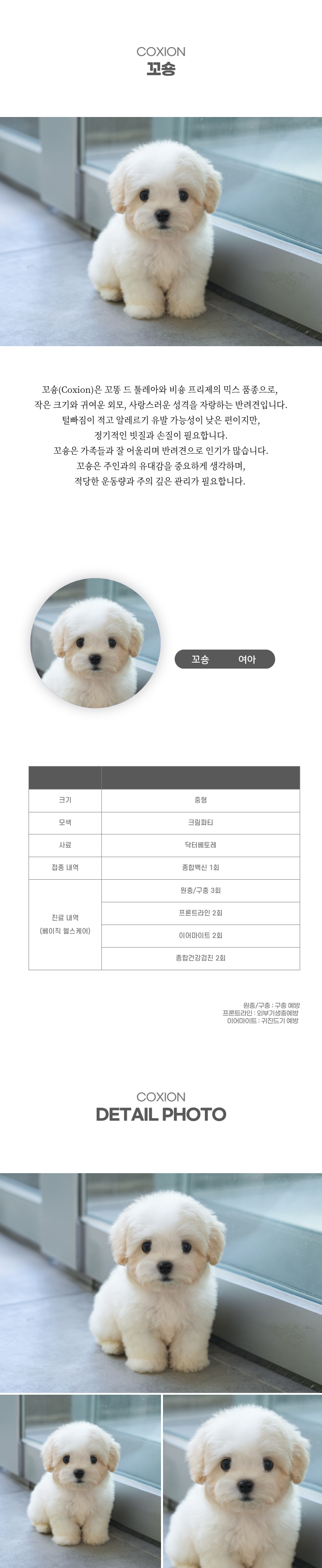 꼬숑_상세이미지_2