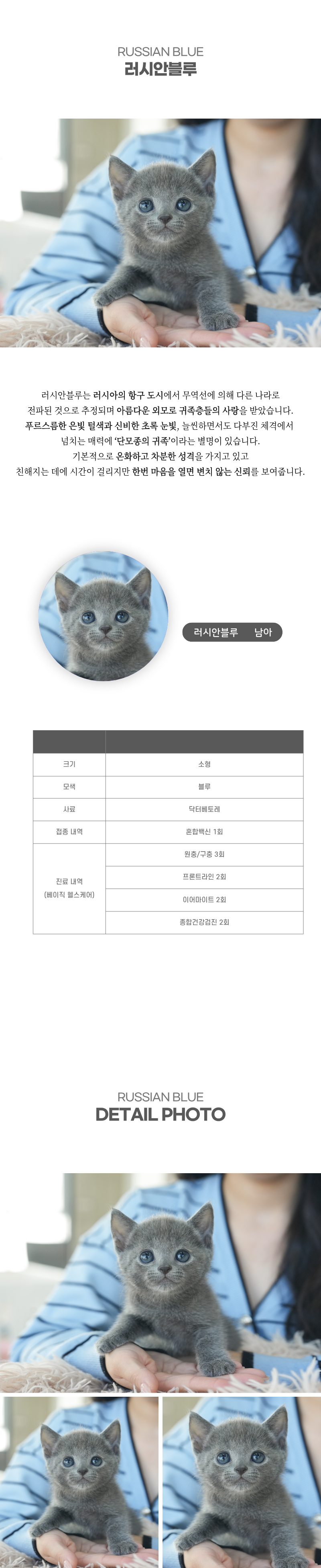 러시안블루_상세이미지_2