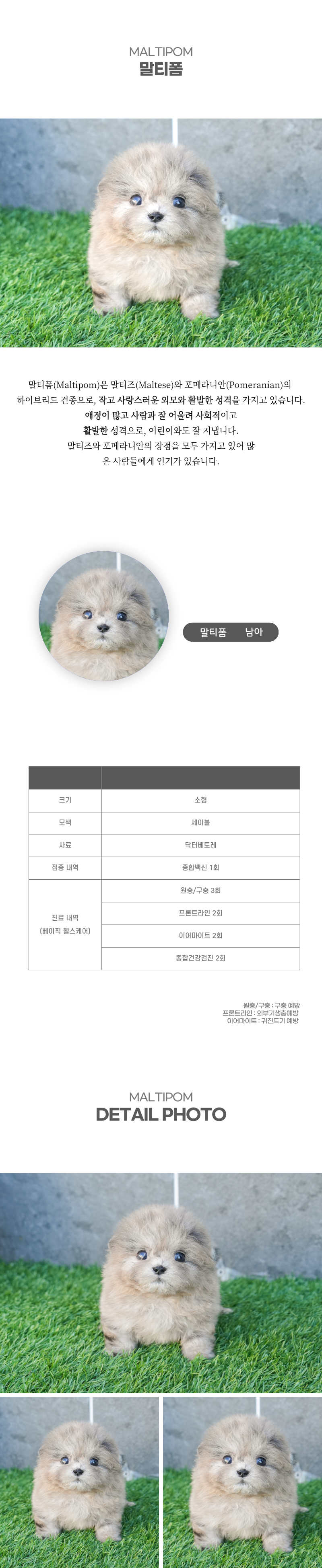 말티폼_상세이미지_2