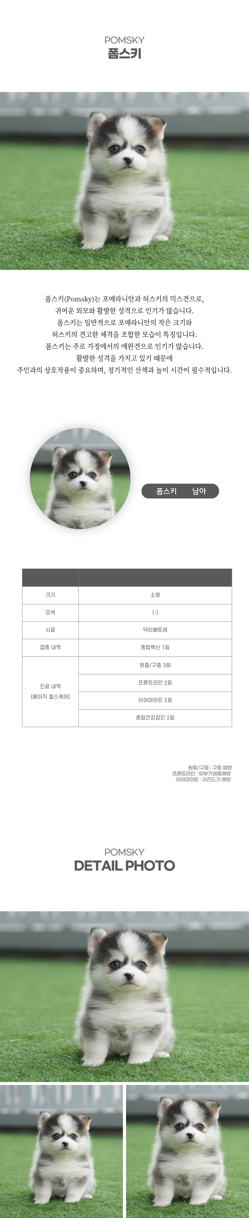 폼스키_상세이미지_2