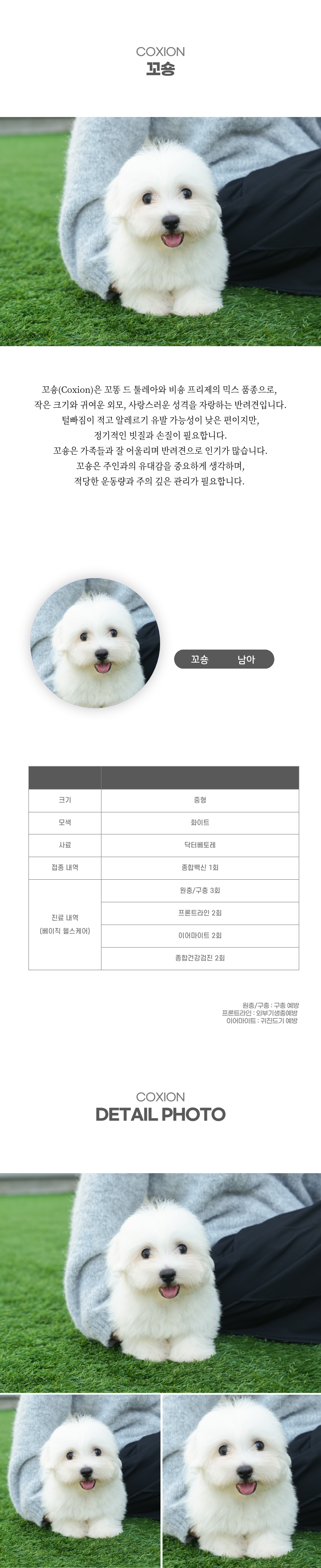 꼬숑_상세이미지_2