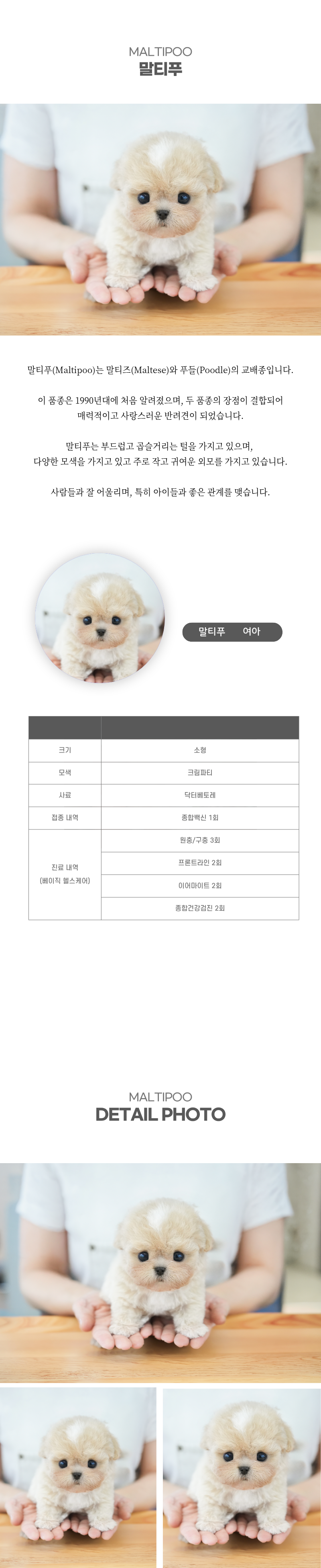 말티푸_상세이미지_2