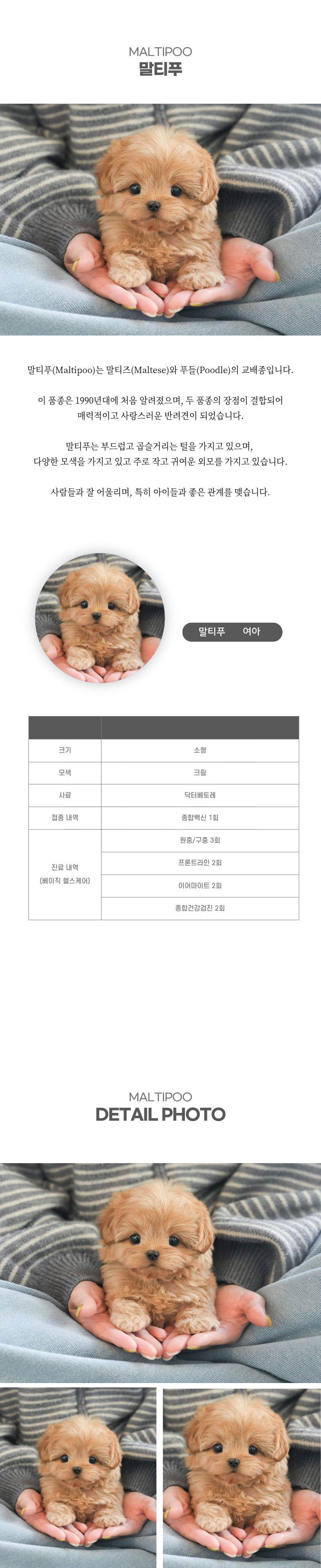 말티푸_상세이미지_2