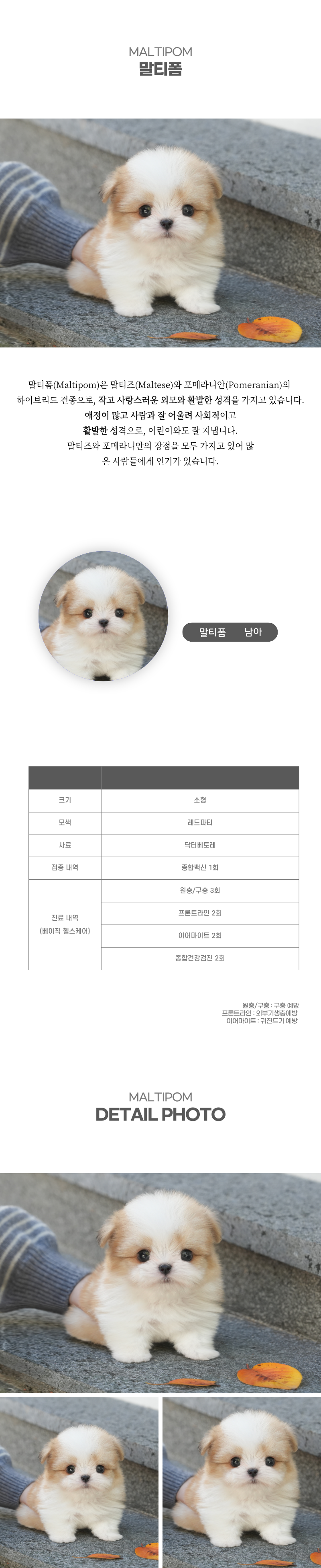 말티폼_상세이미지_2