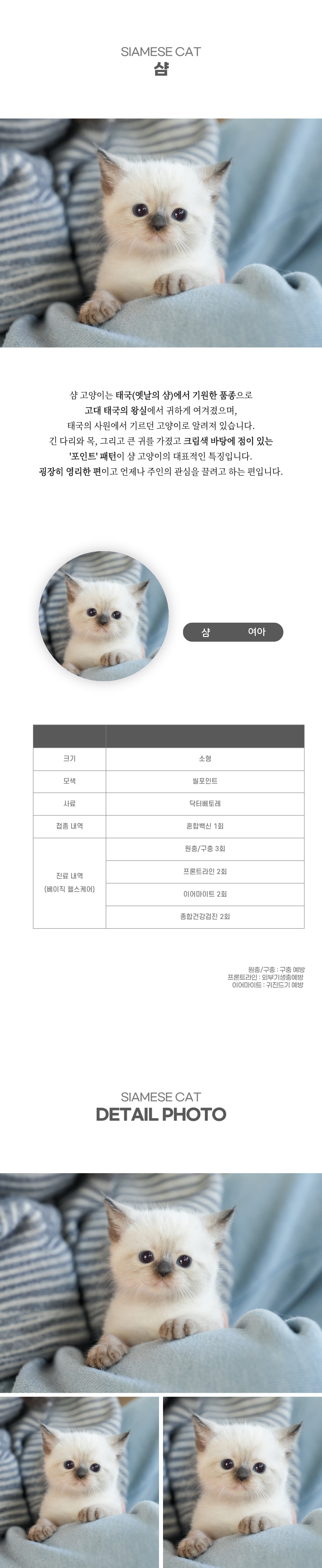 샴_상세이미지_2