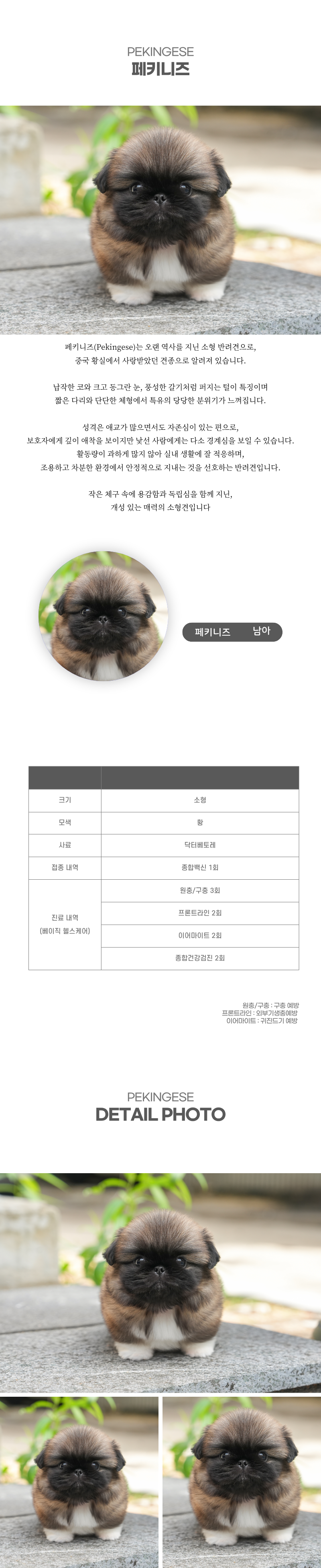 페키니즈_상세이미지_2