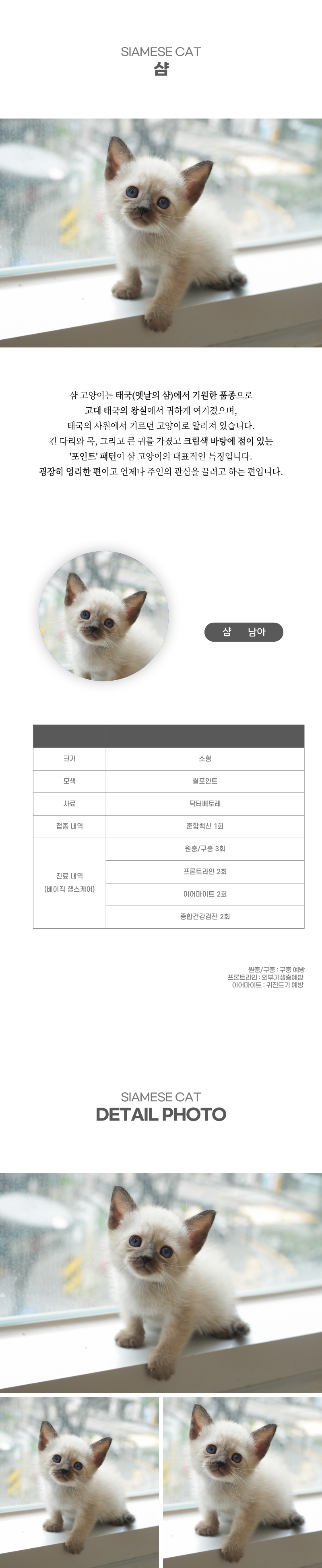 샴_상세이미지_2