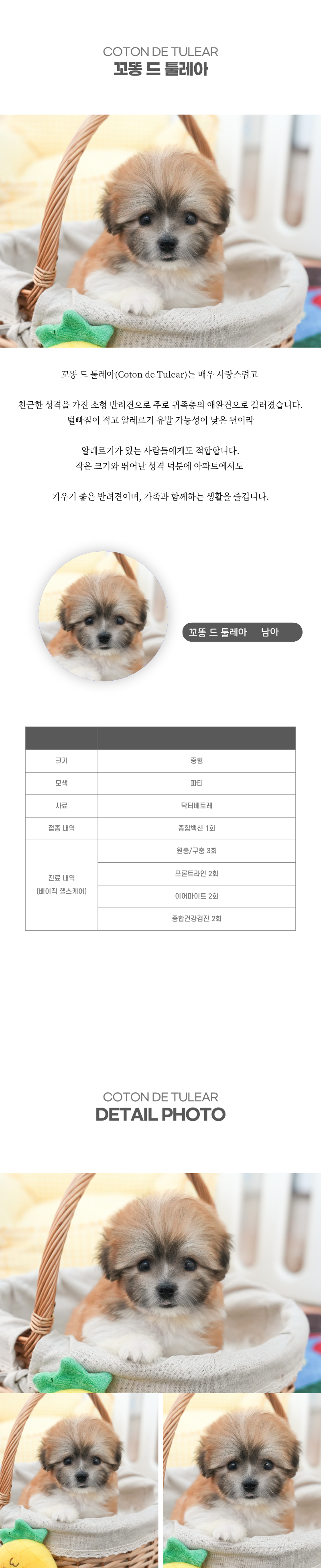 꼬똥_상세이미지_2