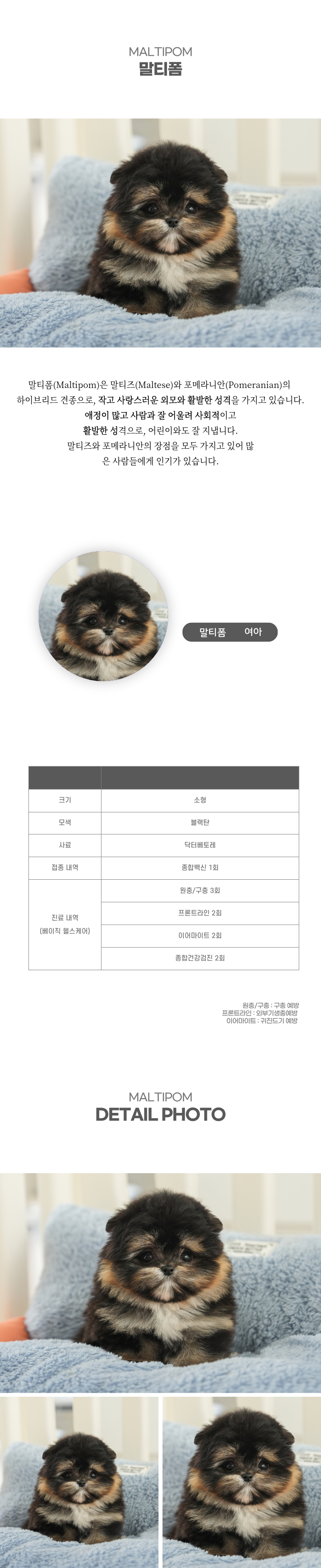 말티폼_상세이미지_2