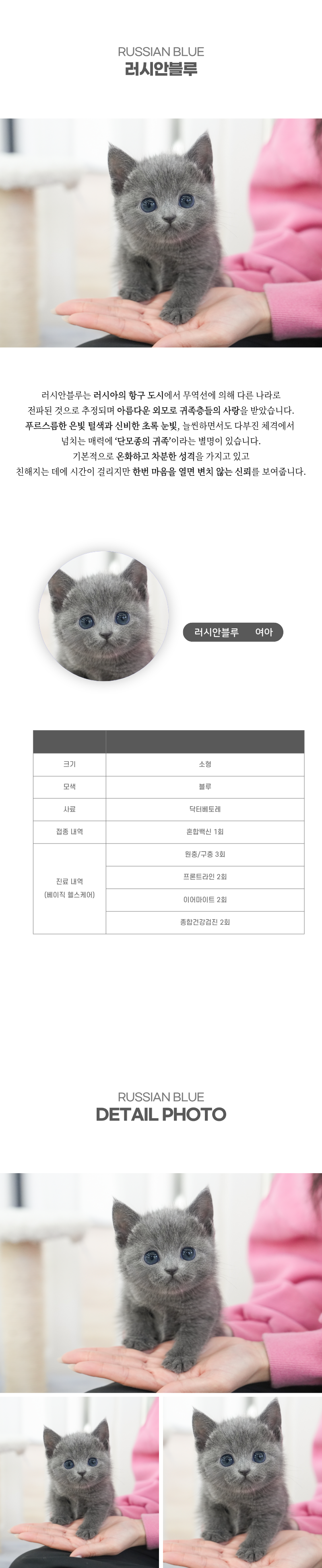 러시안블루_상세이미지_2