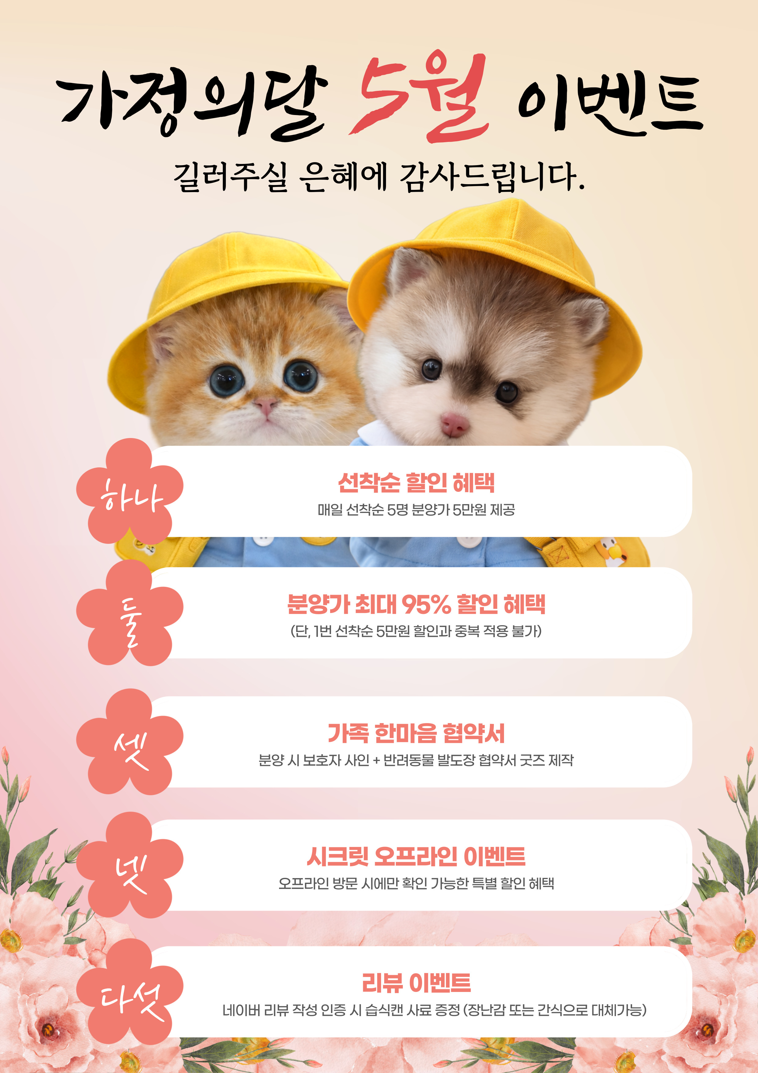 미유펫서울_팝업_1
