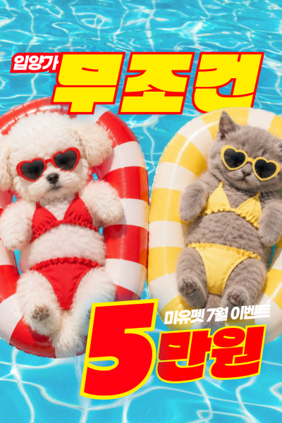 미유펫서울_팝업_4