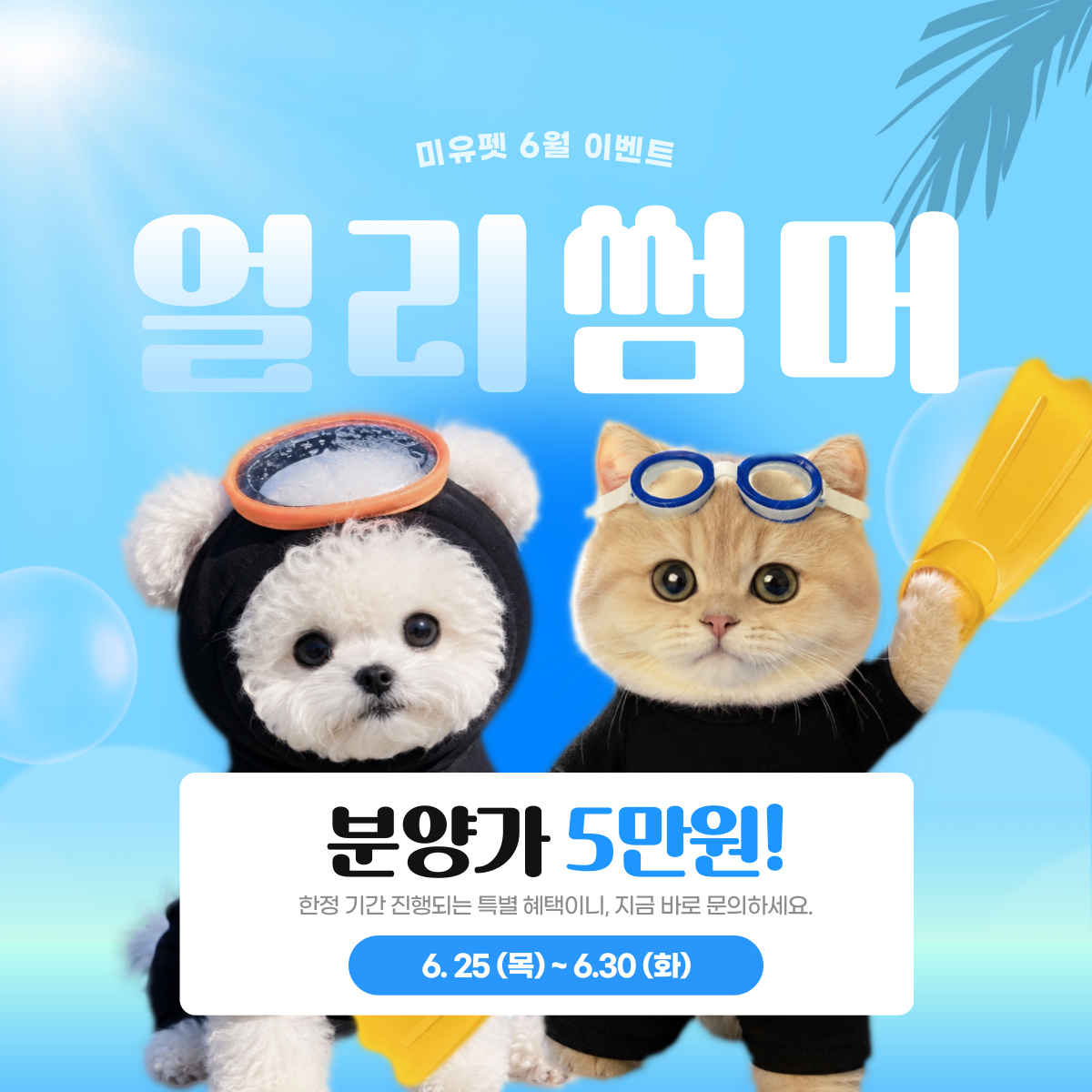 미유펫서울_팝업_4
