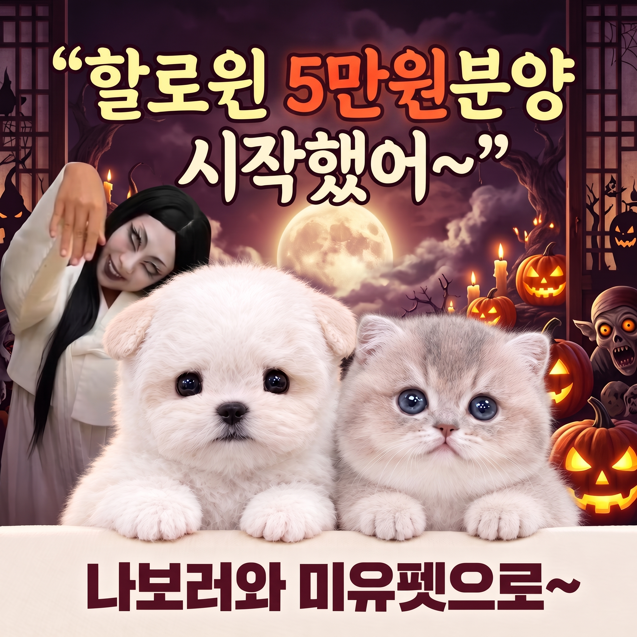 미유펫서울_팝업_2