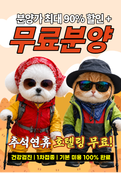 미유펫서울_팝업_4