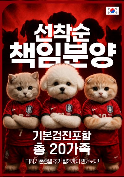 미유펫서울_팝업_4