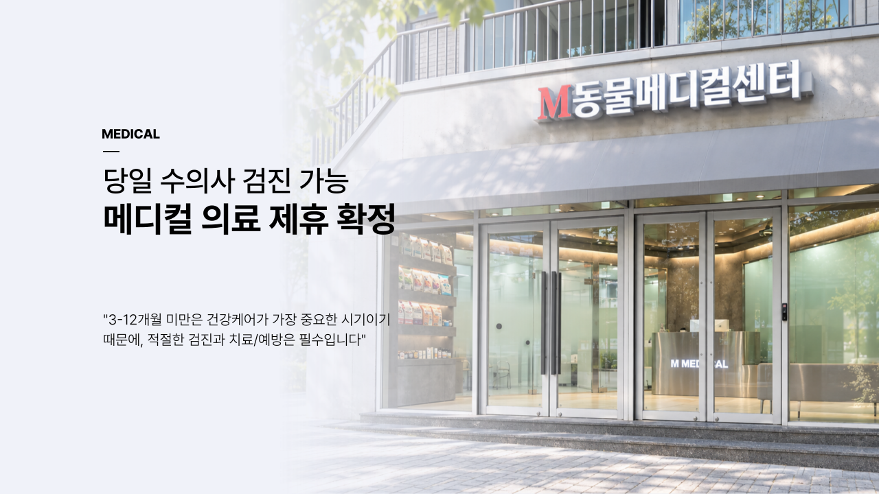 메인슬라이드_1